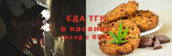 индика Бронницы